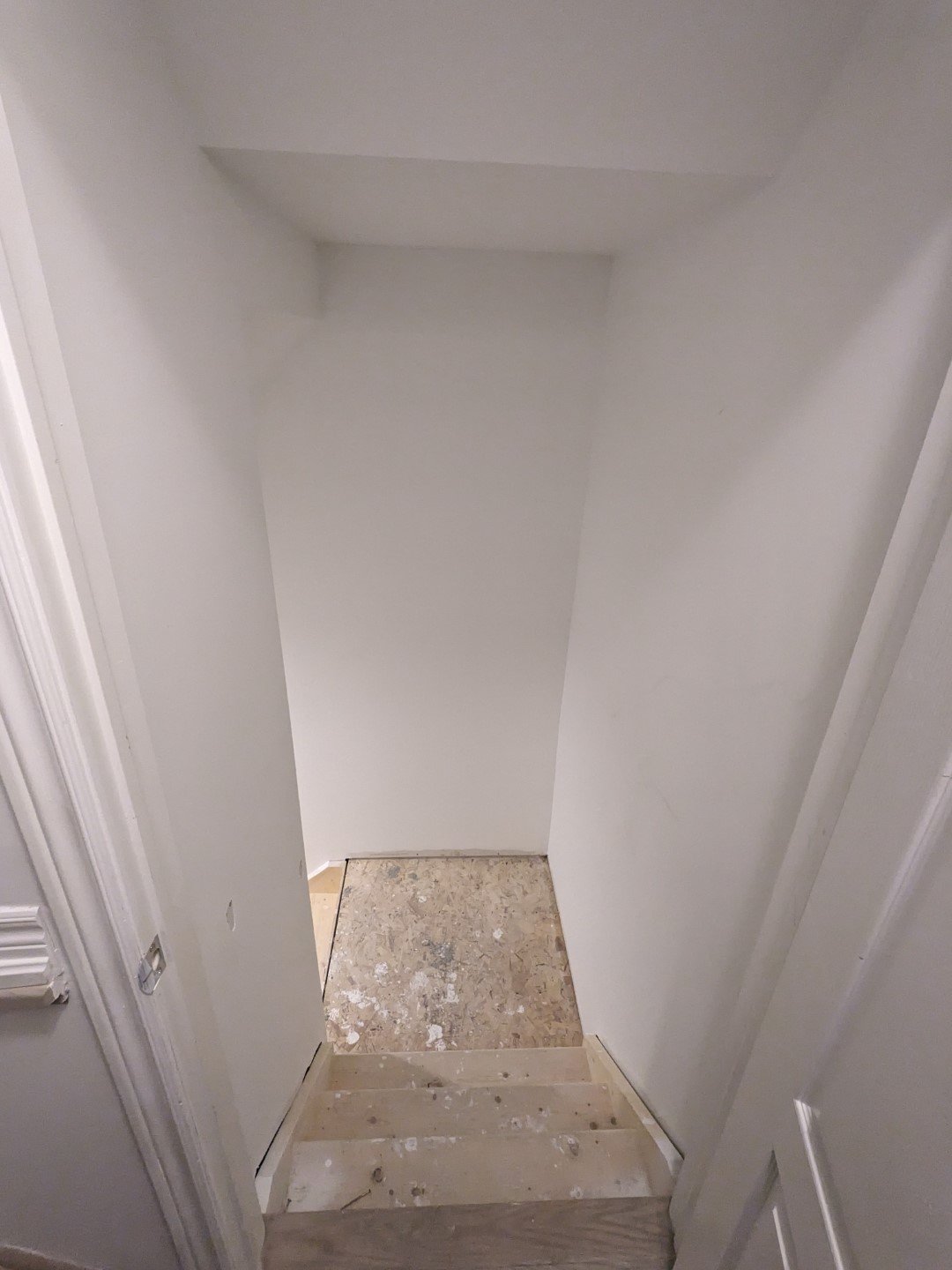 PXL_20240219_033858769